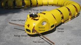 Timeline: frise cronologique