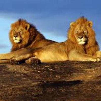 Timeline: Trip to Kenya