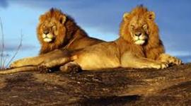 Timeline: Trip to Kenya