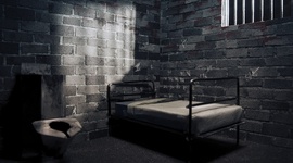 Timeline: The Incarceration Nation