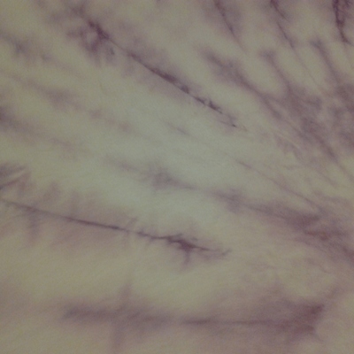 Timeline: Mabel's Life Events