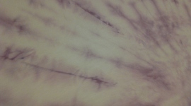 Timeline: Mabel's Life Events