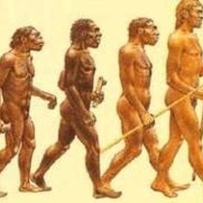 Timeline: Evolución del sistema educativo