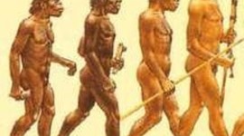 Timeline: Evolución del sistema educativo