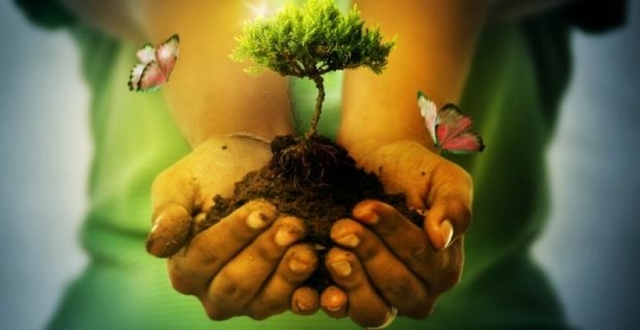 Sucesos en la Educación Ambiental timeline  Timetoast 