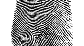 Timeline: Forensic Science History