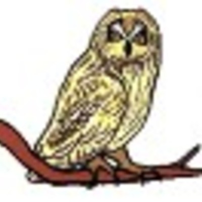 Timeline: LEC Kim O Timeline