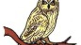 Timeline: LEC Kim O Timeline