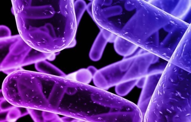 Resultado de imagen de teoria de principios simples