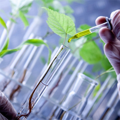 Timeline: La era de la convergencia  Nanotecnología, Biotecnología, Ciencias cognitivas y de la Información.