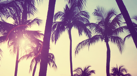 Timeline: Línea de Tiempo en Aptitudes