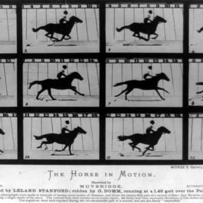 Timeline: Evolucion Historica de la imagen en movimiento.