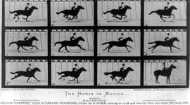 Timeline: Evolucion Historica de la imagen en movimiento.