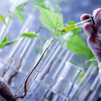 Timeline: Biotecnologia