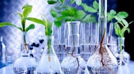 Timeline: LA BIOTECNOLOGÍA EN LA ERA DE LA CONVERGENCIA