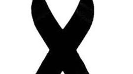 Timeline: Teaching how to use Timetoast