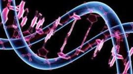 Timeline: transcurso de la biotecnologia en los años (2000-2013)