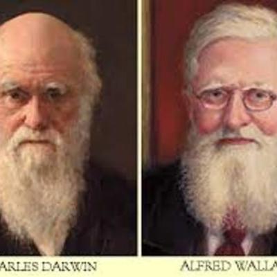 Timeline: Mendel's Darwin's, and Wallace's work