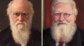 Timeline: Mendel's Darwin's, and Wallace's work