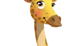 Timeline: Zarafa's suitcase