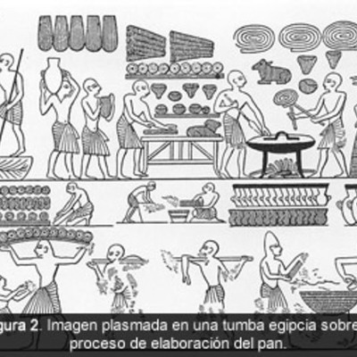 Timeline: LINEA DE TIEMPO BIOTECNOLOGIA