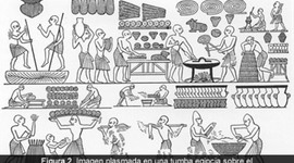 Timeline: LINEA DE TIEMPO BIOTECNOLOGIA