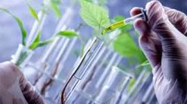 Timeline: HISTORIA DE LA BIOTECNOLOGÍA: Primeras aplicaciones de la biotecnología.