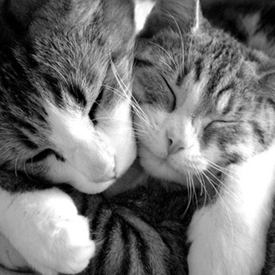 Timeline: Recursos educativos