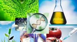 Timeline: Linea del tiempo Biologia