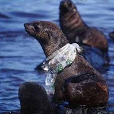 Timeline: EVOLUCION HISTORICA DE LAS FORMAS DE PROCESAMIENTO DE LA INFORMACION