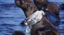 Timeline: EVOLUCION HISTORICA DE LAS FORMAS DE PROCESAMIENTO DE LA INFORMACION