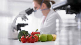 Timeline: Biotecnología  Período 2000 – 2013