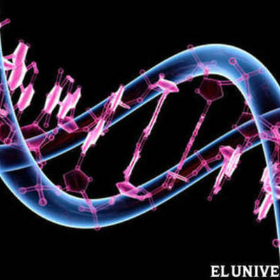 Timeline: Biología Molecular