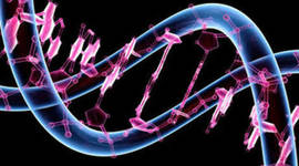 Timeline: Biología Molecular