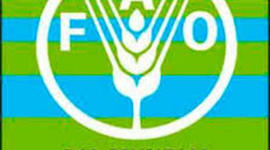 Timeline: Setmana Mundial de l'Alimentació 2015