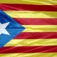 Senyera estelada