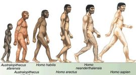 Timeline: Ancient Hominids