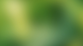 Timeline: Production Schedule