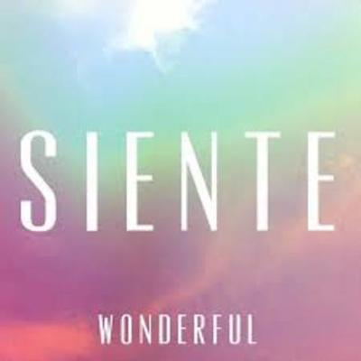 Timeline: Proyecto Siente