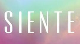 Timeline: Proyecto Siente