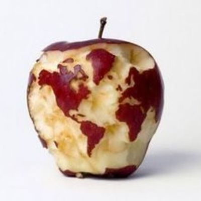 Timeline: Dia Mundial de l'Alimentació: l'avui, l'ahir i el demà