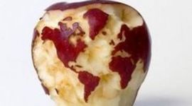 Timeline: Dia Mundial de l'Alimentació: l'avui, l'ahir i el demà