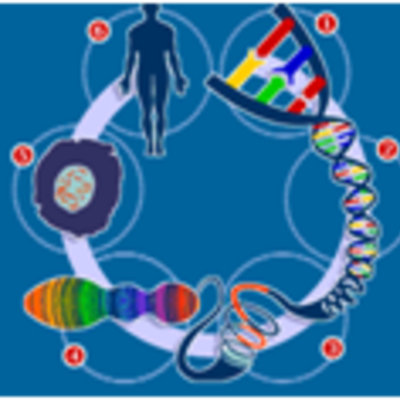 Timeline: Proyecto Genoma Humano