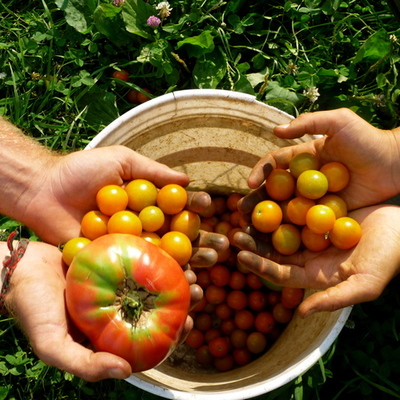 Timeline: History of Industrial and Organic Farming