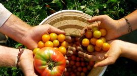 Timeline: History of Industrial and Organic Farming