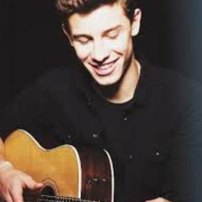 Timeline: Shawn Mendes