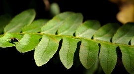 Timeline: History Timeline Assignment