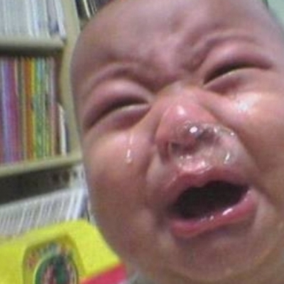 Timeline: Pregnancy Development