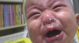 Timeline: Pregnancy Development