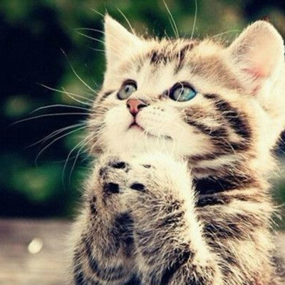 Timeline: 教育技术大事年表（Naomi Hu)